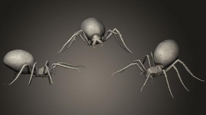 نموذج ثلاثي الأبعاد لآلة CNC الحشرات العنكبوت